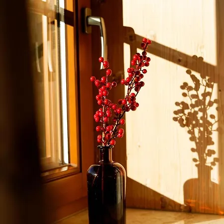 Fuerstenhof Appartement